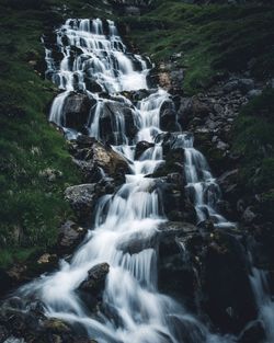 Scenic view of waterfall in forest