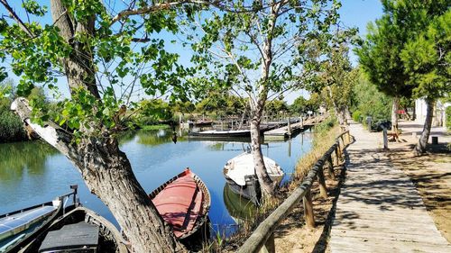 Scenic view of river by trees against sky