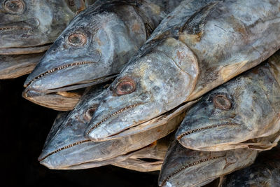 High angle view of fish for sale in market