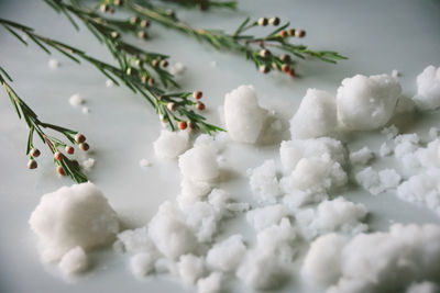 Close-up of food on marble