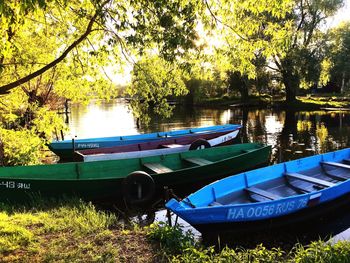 Boats moored in lake against trees