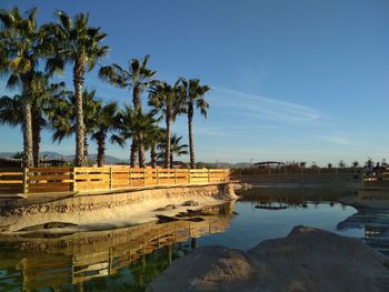 Reflection of palm trees in lake against sky