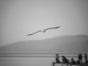 Seagulls flying over sea against sky