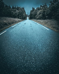 Surface level of road along trees