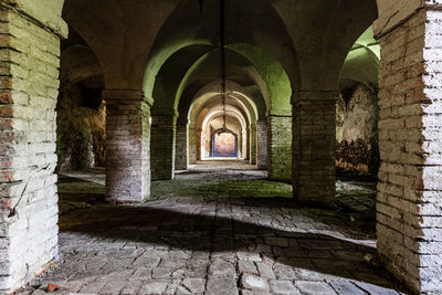 Cellar in an abandoned villa