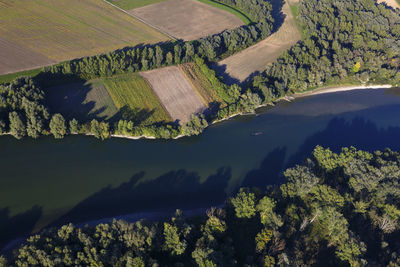 High angle view of trees on landscape