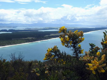 Scenic view of sea against sky