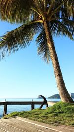 Palm trees on beach against clear sky