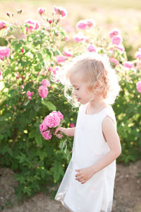 Cute girl holding flowers at farm