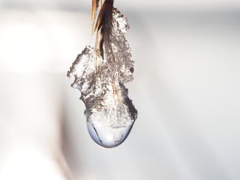 Close-up of ice crystals against blurred background