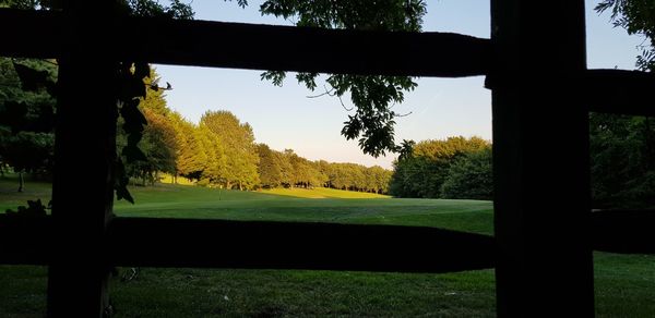 Scenic view of silhouette trees on field against sky