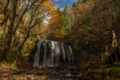 Waterfall in forest