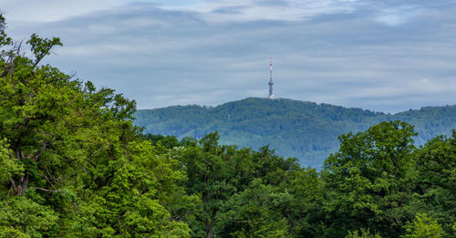 Low angle view of trees and tower against sky