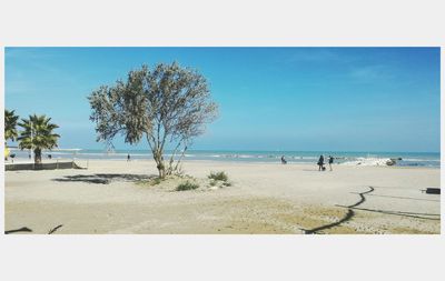 Scenic view of beach against clear sky