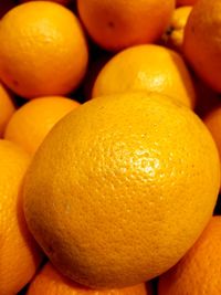 Close-up of oranges