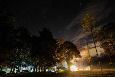 Low angle view of silhouette trees against sky at night