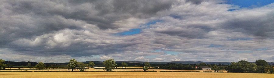 Scenic view of field against cloudy sky