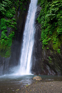 Scenic view of waterfall in forest