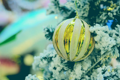 Close-up of bauble hanging on plants
