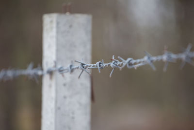 Close-up of barbed wire fence