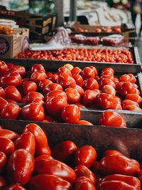 Close-up of vegetables for sale