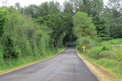 Road amidst trees against sky