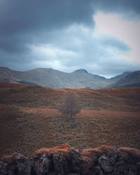 Scenic view of landscape and mountains against sky