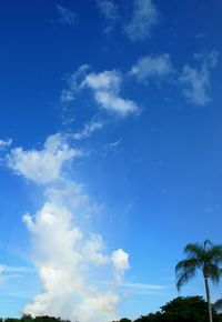 Low angle view of trees against blue sky