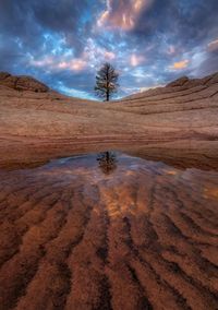 Scenic view of desert against sky