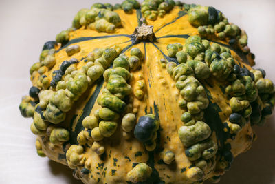Close-up of pumpkin