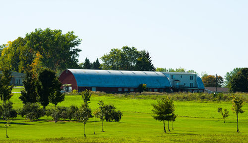 Scenic view of field against clear sky