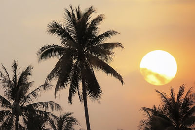 Low angle view of silhouette palm trees against sky during sunset