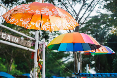 Close-up of multi colored water