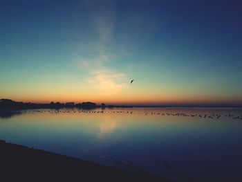 Birds flying over lake during sunset