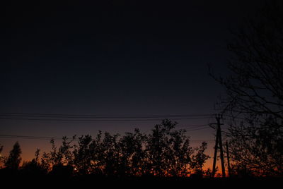 Low angle view of silhouette trees against sky at night