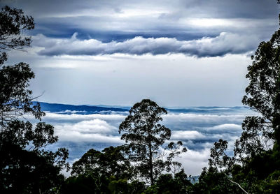 Low angle view of cloudy sky