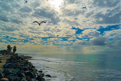 Birds flying over sea against sky