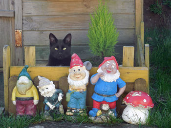 Cat with toy toys on wood