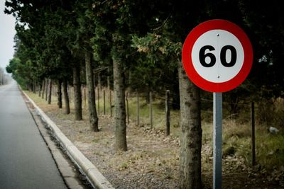 Speed limit sign at roadside