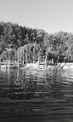 Reflection of trees in water