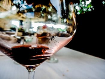 Close-up of wine glass on table