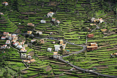 High angle view of agricultural field