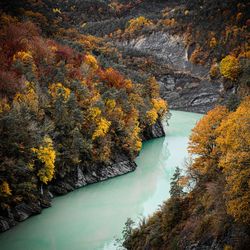 High angle view of river amidst trees during autumn