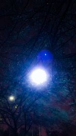 Low angle view of illuminated trees against sky at night