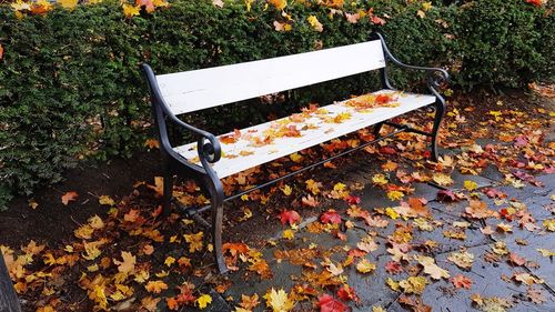 High angle view of bench in park during autumn