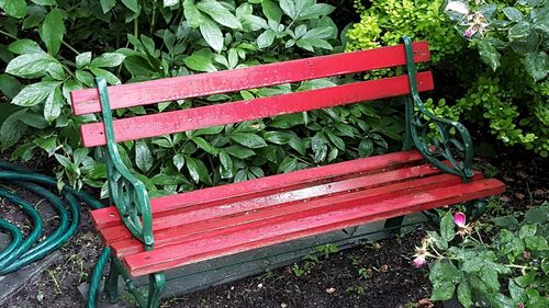 High angle view of red bench in garden