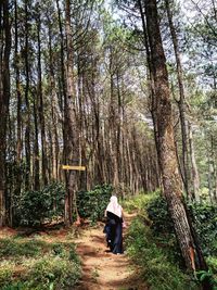 Rear view of man walking in forest