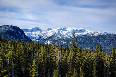 Elevated view of snow covered mountain landscape against sky with evergreen trees 