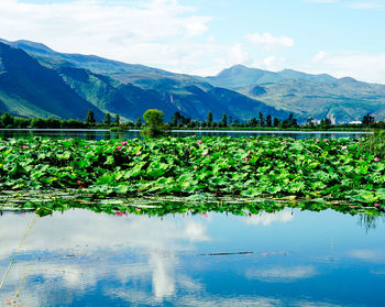 Scenic view of lake against sky