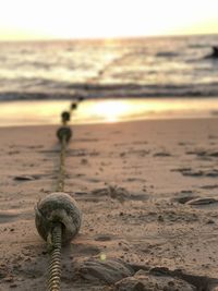 Close-up of beach against sky during sunset